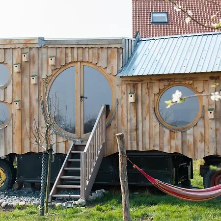 Origineel Logeren In Het Kempennest Bij Dagbreek Lodge Westerlo