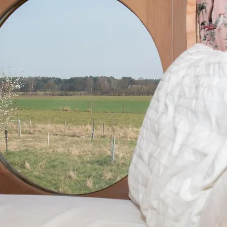 Origineel Logeren In Het Kempennest Bij Dagbreek Lodge